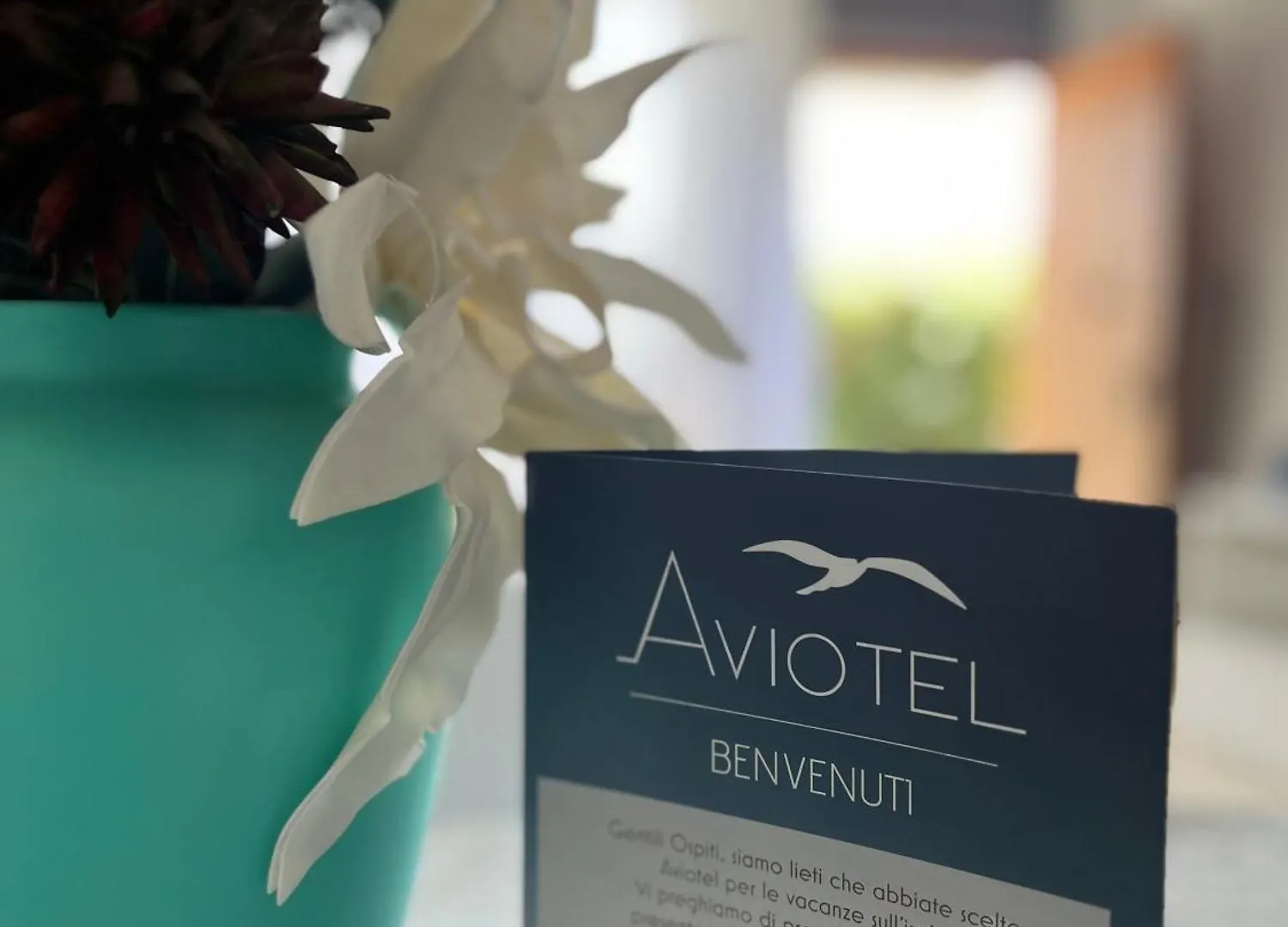 Aviotel Residence Marina di Campo 3*,  Italien